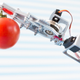 Tomato, tomataaah!